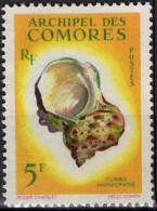 COMORES Poste  22 ** MNH Coquillage Shell (CV 5,50 €) - Usados