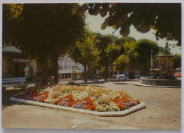 TARVERNY (95/Val D'Oise) - Place De Vaucelles - Restaurant - Taverny