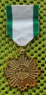 Medaile :  1 ëërste Japan Three-Day March , Nijmegen  - Original Foto  !!  Medallion  Belg - Otros & Sin Clasificación