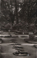 62341 - Schwetzingen - Vogelbad - Ca. 1960 - Schwetzingen