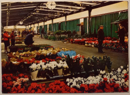 RUNGIS (94 Val De Marne) - Marché Intéret National - Pavillon Des Fleurs En Pots / Horloge  - Rungis