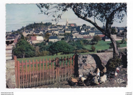 58 CHÂTEAU CHINON En 1963 N°2 Vue Générale Poules Au Premier Plan VOIR DOS - Chateau Chinon