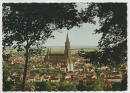 Ulm - Ulm