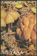 Guyana 1991 Pilze Block 143 Postfrisch (C94292) - Guyane (1966-...)