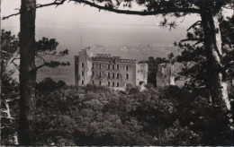 87079 - Neustadt, Hambacher Schloss - Ca. 1960 - Neustadt (Weinstr.)