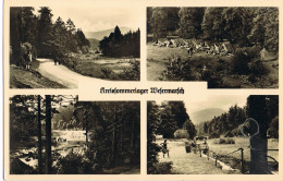 AK Langelsheim, Kreissommerlager Wesermarsch Um 1955 - Langelsheim