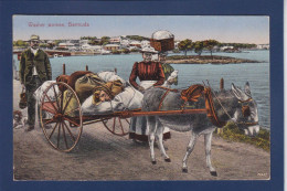 CPA Bermudes Bermuda Non Circulée Ane Donkey - Other & Unclassified