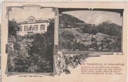 AK Paschenburg Bei Rinteln, 2 Ansichten 1912 - Rinteln