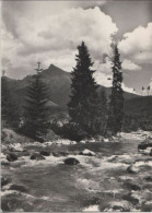 66804 - Slowakei - Vysoke Tatry - Hohe Tatra - Der Krivan - 1968 - Slovakia