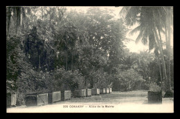 GUINEE - CONAKRY - ALLEE DE LA MAIRIE - Guinée