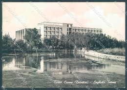 Brindisi Città Torre Canne Laghetto Alterocca 13508 Foto FG Cartolina JK5963 - Brindisi