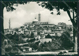 Siena Città Foto FG Cartolina KV6964 - Siena