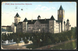 AK Posen / Poznan, Königl. Residenzschloss, Gartenseite  - Posen