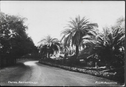 Russia Georgia Abkhazia Gagra View Old Real Photo PC 1950s. Caucasia - Georgië