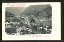 AK Bad Liebenzell I. Schwarzwald, Blick Vom Monakamer Berg Ins Nagoldthal Aufwärts  - Nagold