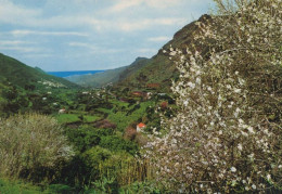 133518 - Gran Canaria - Spanien - Valle De Agaete - Gran Canaria