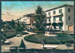 Arezzo Sansepolcro Giardini Pubblici Foto FG Cartolina JK6010 - Arezzo