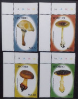 D633. Mushrooms - Lesotho Yv 1876-79 MNH - 1,85 - Champignons
