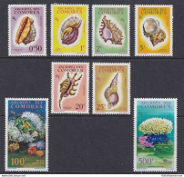 1962 Comores - Yvert  N° 19/24 + PA 5/6 - Fauna Marina E Conchiglie - 8 Valori - Altri & Non Classificati