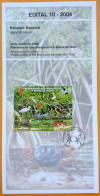 Brochure Brazil Edital 2004 10 Fauna Flora Mangue Fauna Caranguejo Aves Without Stamp - Cartas & Documentos