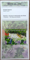 Brochure Brazil Edital 2005 21 Piracema Reproduction Of Fish Without Stamp - Covers & Documents