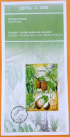 Brochure Brazil Edital 2005 03 Cupuacu Fruit Economy Without Stamp - Brieven En Documenten