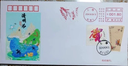 China Cover 2024 "24 Solar Terms - Qingming" Postage Machine Stamp Commemorative Cover - Buste