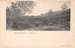 60-ERMENONVILLE-N°T5032-E/0015 - Ermenonville