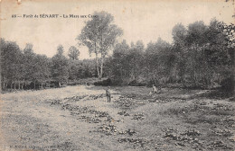 91-SENART LA FORET-N°T5033-B/0143 - Sénart