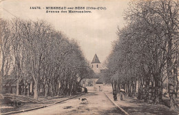 21-MIREBEAU SUR BEZE-N°T5033-D/0155 - Mirebeau