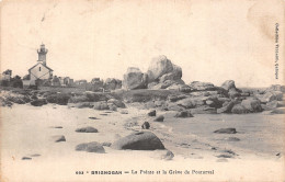 29-BRIGNOGAN-N°T5033-D/0025 - Brignogan-Plage