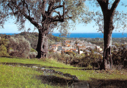 06-BIOT-N°3702-A/0343 - Biot