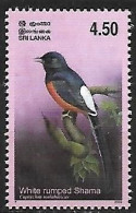 Sri Lanka - MNH ** 2003 : White-rumped Shama  -  Copsychus Malabaricus - Uccelli Canterini Ed Arboricoli