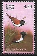 Sri Lanka - MNH ** 2003 :   Tricolored Munia  -  Lonchura Malacca - Songbirds & Tree Dwellers