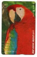 Perroquet Parrot Oiseau Bird Télécarte Israël Phonecard  (K 219) - Israel