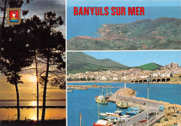 66-BANYULS SUR MER-N°3712-C/0037 - Banyuls Sur Mer