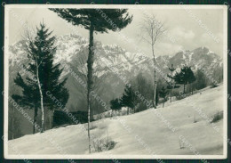 Lecco Prealpi Lariane Grigne Nevicata PIEGHE Foto FG Cartolina KV7674 - Lecco