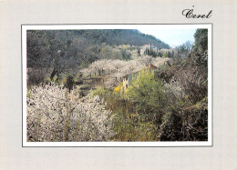 66-CERET-N°3713-C/0141 - Ceret