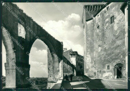 Grosseto Pitigliano Foto FG Cartolina KV7916 - Grosseto