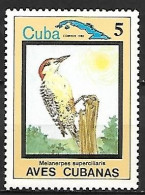 Cuba -MNH ** 1983 :  West Indian Woodpecker -   Melanerpes Superciliaris - Picchio & Uccelli Scalatori