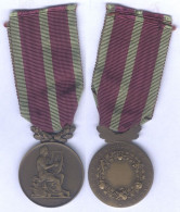 Médaille Des Sociétés Musicales Et Chorales - Frankrijk