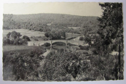 BELGIQUE - NAMUR - VRESSE-SUR-SEMOIS - Le Pont En Amont - Vresse-sur-Semois