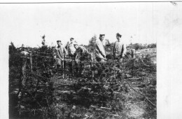 Carte Photo De Soldats Allemand Réparant Les Barbelé Devant Leurs Tranché En 14-18 - 1914-18