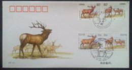 1999 LF-11 CHINA-RUSSIA JOINT 2X2 FDC - Lettres & Documents