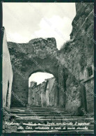 Grosseto Pitigliano Porta Meridionale Foto FG Cartolina KV7953 - Grosseto