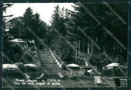 Grosseto Monte Amiata Abbadia San Salvatore Foto FG Cartolina KV7997 - Grosseto