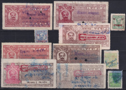 F-EX49351 INDIA LOCAL REVENUE TAX. MEWAR RAJASTHAN RED OVERPRINT TIPO IX.  - Dienstmarken