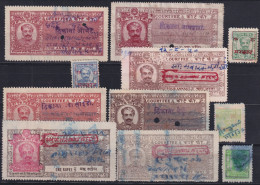 F-EX49351 INDIA LOCAL REVENUE TAX. MEWAR RAJASTHAN RED OVERPRINT TIPO IX.  - Official Stamps