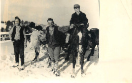 Romania Photo 1968 Oxen & Horse - Rumania