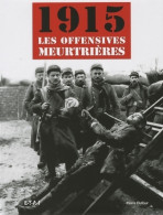 1915 Les Offensives Meurtrières (2009) De Pierre Dufour - Oorlog 1914-18